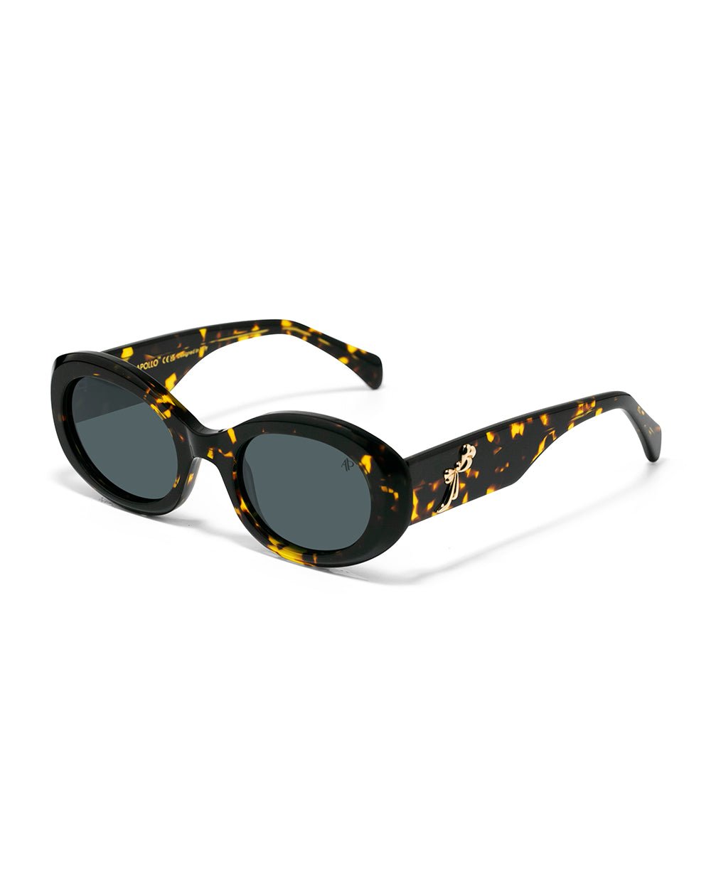 Lunettes de soleil Apollo AP3040-C2 — vue de face, verres polarisés UV400