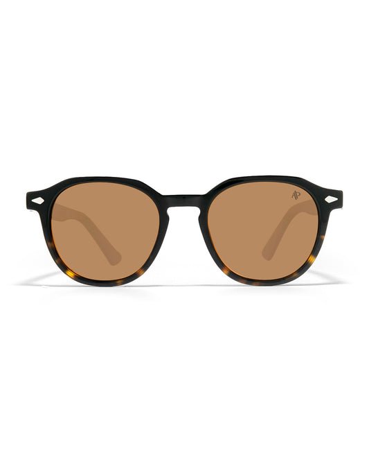 Lunettes de soleil Apollo AP3106-C2 — vue de face, verres polarisés UV400