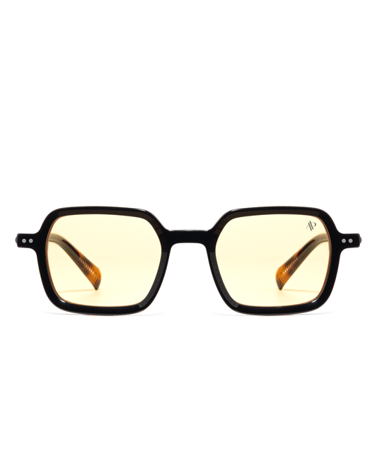 Lunettes de soleil Apollo AP3024-C2 — vue de face, verres polarisés UV400